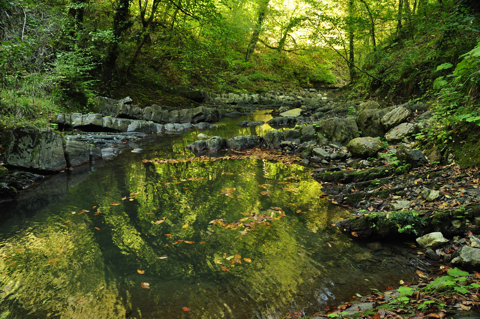 Krasnaya Polyana (Красная Поляна)